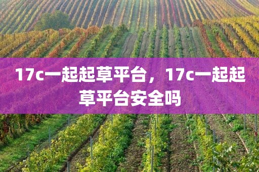 17c一起起草平台，17c一起起草平台安全吗