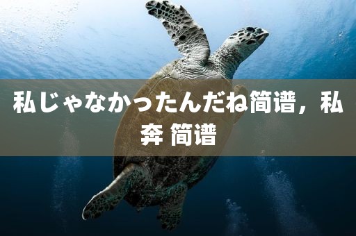 私じゃなかったんだね简谱，私奔 简谱