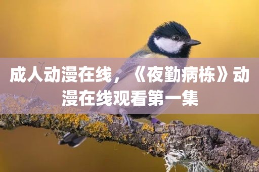 成人动漫在线，《夜勤病栋》动漫在线观看第一集