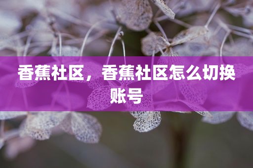 香蕉社区，香蕉社区怎么切换账号
