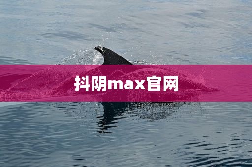 抖阴max官网
