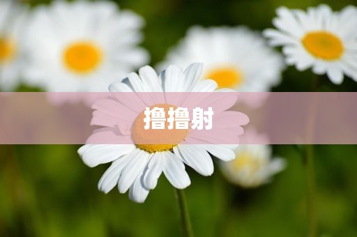 撸撸射