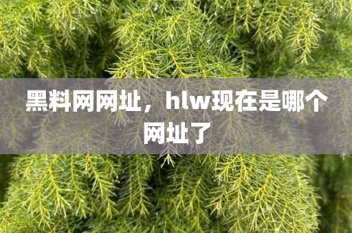 黑料网网址，hlw现在是哪个网址了