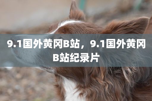 9.1国外黄冈B站，9.1国外黄冈B站纪录片