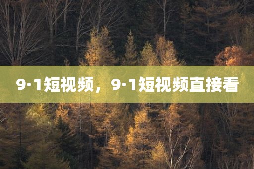 9·1短视频，9·1短视频直接看