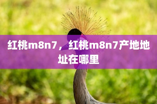 红桃m8n7，红桃m8n7产地地址在哪里