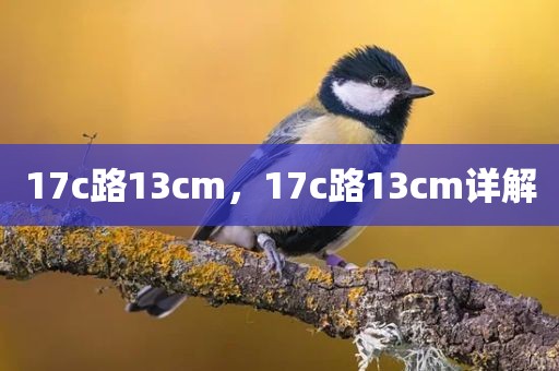 17c路13cm，17c路13cm详解