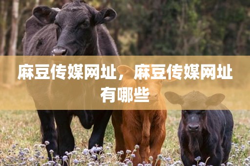 麻豆传媒网址，麻豆传媒网址有哪些