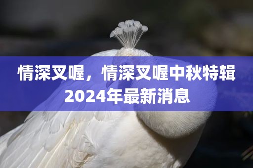 情深叉喔，情深叉喔中秋特辑2024年最新消息