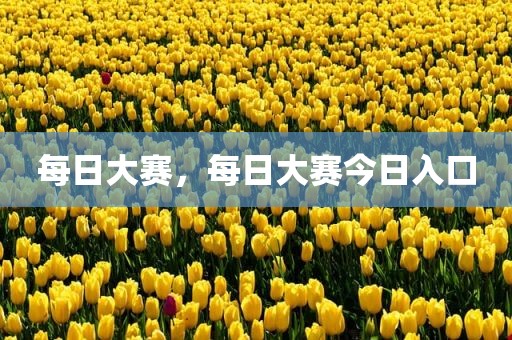 每日大赛，每日大赛今日入口