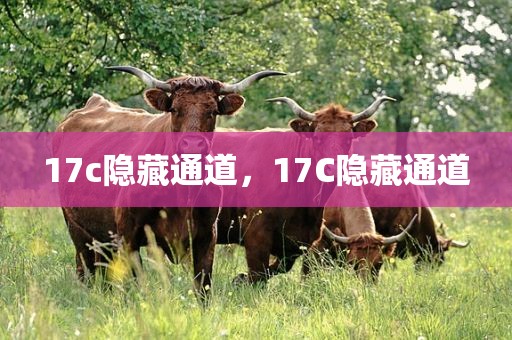 17c隐藏通道，17C隐藏通道