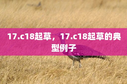 17.c18起草，17.c18起草的典型例子