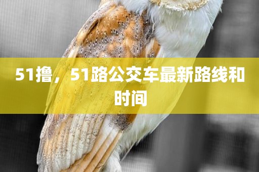 51撸，51路公交车最新路线和时间