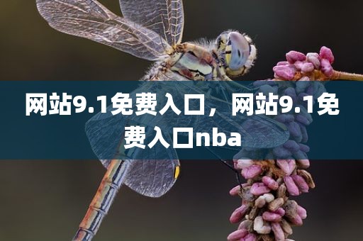 网站9.1免费入口，网站9.1免费入口nba