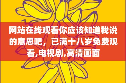 网站在线观看你应该知道我说的意思吧，已满十八岁免费观看,电视剧,高清画面