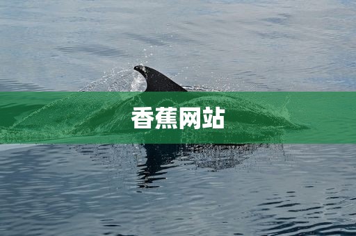 香蕉网站