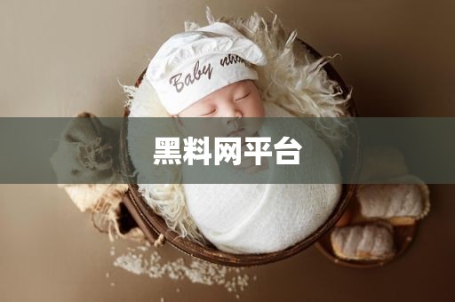 黑料网平台
