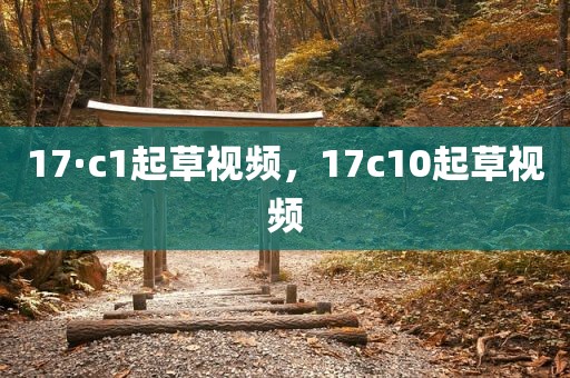 17·c1起草视频，17c10起草视频