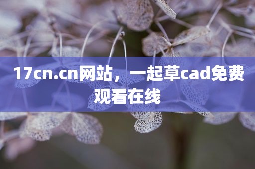 17cn.cn网站，一起草cad免费观看在线