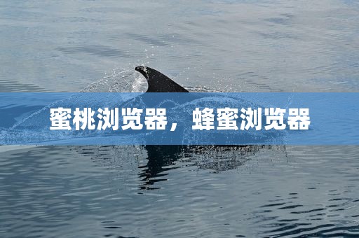 蜜桃浏览器，蜂蜜浏览器