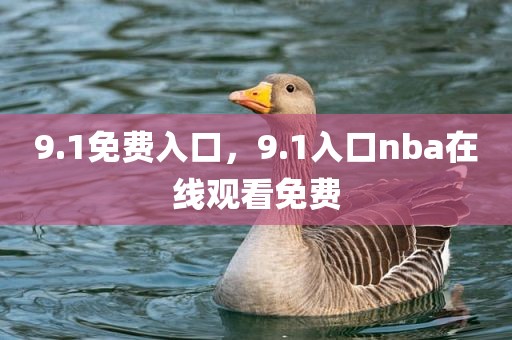 9.1免费入口，9.1入口nba在线观看免费