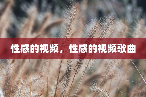 性感的视频，性感的视频歌曲