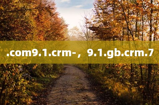 .com9.1.crm-，9.1.gb.crm.7