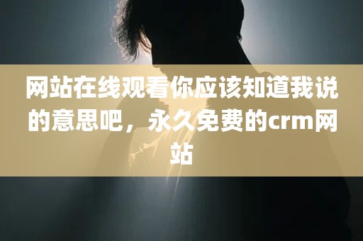 网站在线观看你应该知道我说的意思吧，永久免费的crm网站