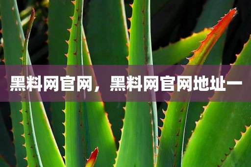 黑料网官网，黑料网官网地址一