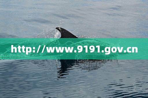 http://www.9191.gov.cn
