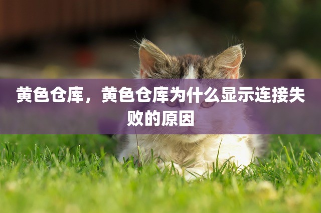 黄色仓库，黄色仓库为什么显示连接失败的原因