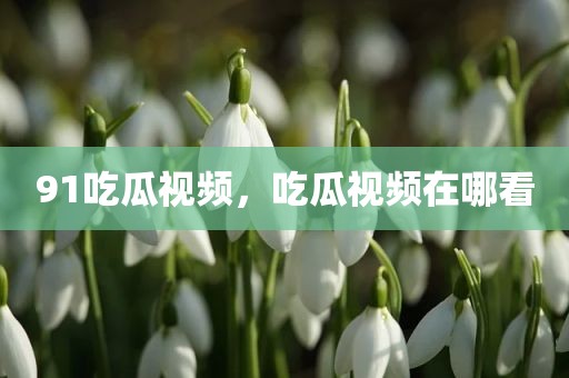 91吃瓜视频，吃瓜视频在哪看