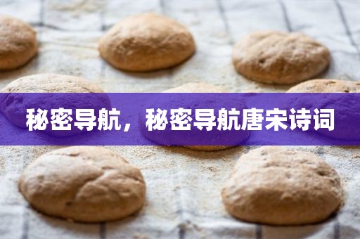 秘密导航，秘密导航唐宋诗词