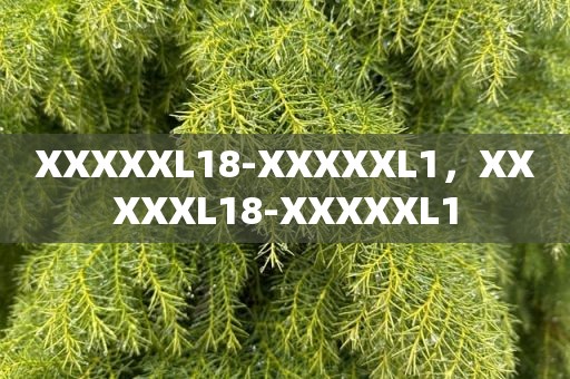 XXXXXL18-XXXXXL1，XXXXXL18-XXXXXL1