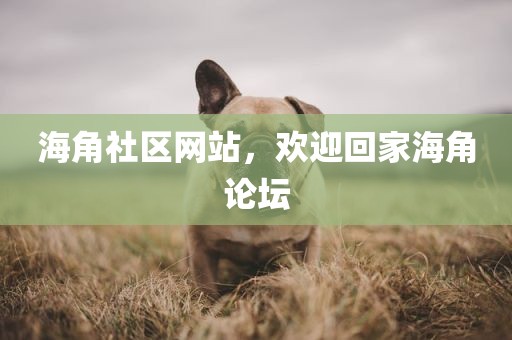 海角社区网站，欢迎回家海角论坛