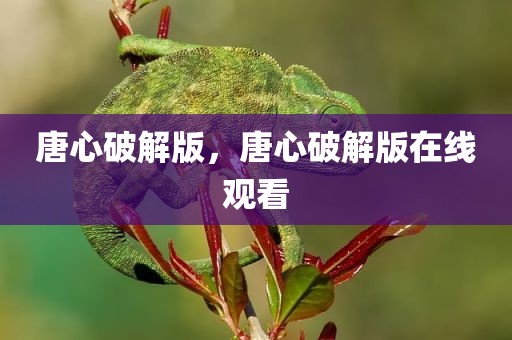 唐心破解版，唐心破解版在线观看