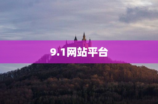 9.1网站平台