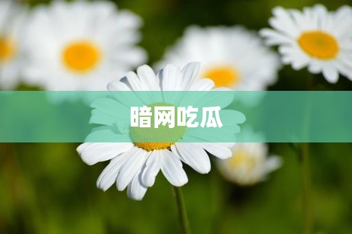 暗网吃瓜