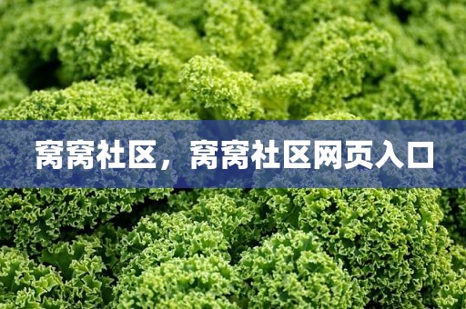 窝窝社区，窝窝社区网页入口