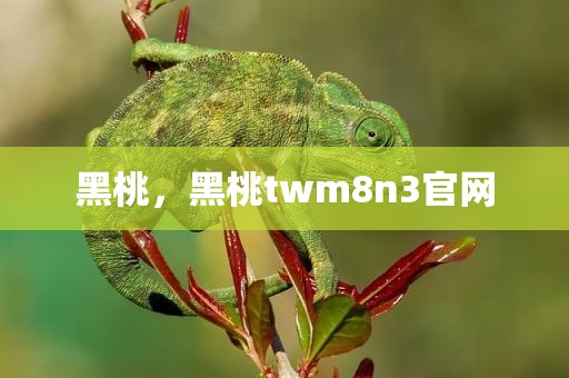 黑桃，黑桃twm8n3官网