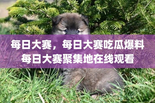 每日大赛，每日大赛吃瓜爆料每日大赛聚集地在线观看