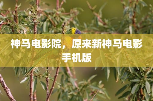 神马电影院，原来新神马电影手机版