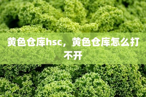 黄色仓库hsc，黄色仓库怎么打不开