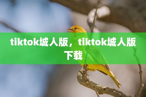 tiktok城人版，tiktok城人版下载