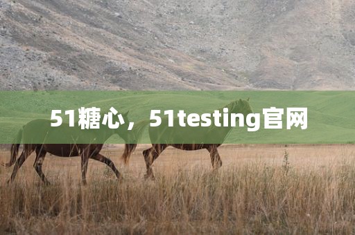 51糖心，51testing官网