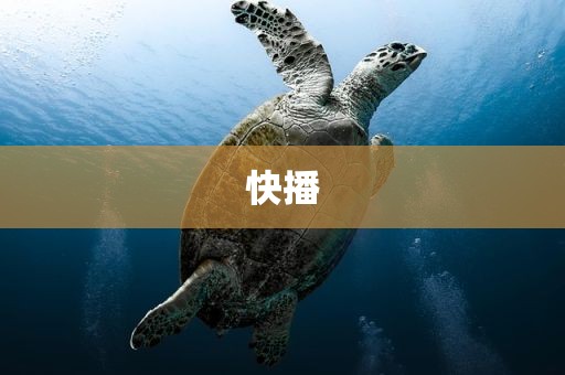 快播