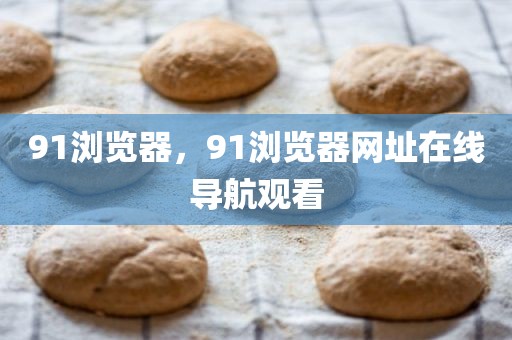 91浏览器，91浏览器网址在线导航观看