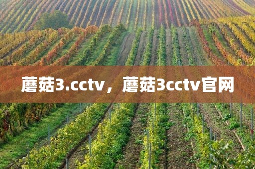 蘑菇3.cctv，蘑菇3cctv官网