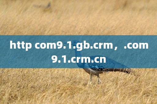 http com9.1.gb.crm，.com9.1.crm.cn