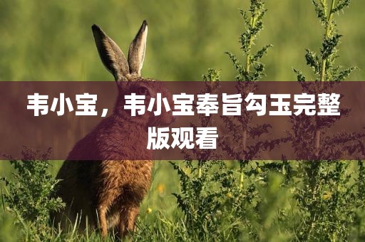 韦小宝，韦小宝奉旨勾玉完整版观看